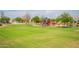 playground with play structures and grassy area at 4809 E Fire Opal Ln, San Tan Valley, AZ 85143