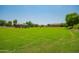Large grassy park area with playground in background at 4809 E Fire Opal Ln, San Tan Valley, AZ 85143