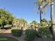 Landscaped backyard with a view of the golf course at 4423 E Ponca St, Phoenix, AZ 85044