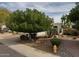 Landscaped front yard with large tree and drought-tolerant plants at 4423 E Ponca St, Phoenix, AZ 85044