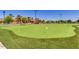 Enjoy a round of putting on this green at 41650 W Harvest Moon Dr, Maricopa, AZ 85138