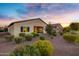 Landscaped backyard with desert landscaping at 41650 W Harvest Moon Dr, Maricopa, AZ 85138