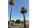 Charming Ranch home with a teal front door and a large yard at 2057 E Howe Ave, Tempe, AZ 85281