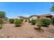 Landscaped backyard with gravel and plants at 273 W Hawthorne Dr, Casa Grande, AZ 85122