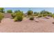 Landscaped backyard with gravel, desert plants, and rock features at 20285 N Winter Escape Ct, Maricopa, AZ 85138