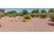 Desert landscape with gravel, plants, and rock features at 20285 N Winter Escape Ct, Maricopa, AZ 85138