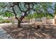 House exterior showcasing landscaping and a large tree at 4536 E Via Dona Rd, Cave Creek, AZ 85331