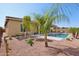 Landscaped backyard with desert plants and a refreshing pool at 15175 S 185Th Ave, Goodyear, AZ 85338