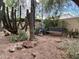 Landscaped garden featuring cacti, succulents, and a shaded bench at 19422 N 67Th Ln, Glendale, AZ 85308