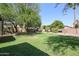 Spacious backyard with lush lawn, mature trees, and desert landscaping at 19422 N 67Th Ln, Glendale, AZ 85308