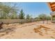 Backyard with a rock garden and chain link fence at 23907 N 83Rd Ave, Peoria, AZ 85383