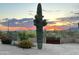 Saguaro cactus and desert landscape with sunset views at 40105 N 2Nd Way, Phoenix, AZ 85086