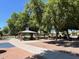 Park gazebo with picnic tables under shady trees at 3407 E Glacier Pl, Chandler, AZ 85249