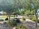 Community park with playground and shaded areas at 3407 E Glacier Pl, Chandler, AZ 85249