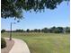 Large grassy park area with a walking path at 3407 E Glacier Pl, Chandler, AZ 85249