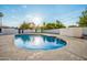 Inviting kidney-shaped pool with a large backyard at 1236 E Mclellan Blvd, Phoenix, AZ 85014