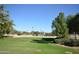 Community park with grassy areas and a volleyball court at 2755 E Palmer St, Gilbert, AZ 85298