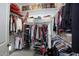 Spacious walk-in closet with ample hanging space and shelving at 10611 E Tumbleweed Ave, Mesa, AZ 85212