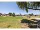 Community park with grassy area and playground at 17555 W Dalea Dr, Goodyear, AZ 85338