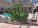 Inviting backyard oasis with a sparkling pool and grapevine at 44973 W Sandhill Rd, Maricopa, AZ 85139
