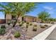 Well-maintained front yard with drought-tolerant landscaping at 32269 N 133Rd Dr, Peoria, AZ 85383