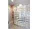 Walk-in shower with glass block wall and built-in shelving at 8633 E Via Montoya --, Scottsdale, AZ 85255