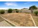 Large grassy backyard with block wall and small landscaping at 432 W Flame Tree Ave, San Tan Valley, AZ 85140