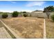 Large grassy backyard with block wall and small landscaping at 432 W Flame Tree Ave, San Tan Valley, AZ 85140