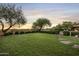 Landscaped backyard with expansive lawn and stone pathway at 19452 N 98Th Pl, Scottsdale, AZ 85255