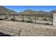 Landscaped backyard with block wall and mountain views at 2827 N 212Th Dr, Buckeye, AZ 85396