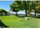 Fenced dog park with grassy area and waste disposal at 11596 W Sierra Dawn Blvd # 196, Surprise, AZ 85378