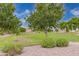 Landscaped park with grassy areas and mature trees at 33025 N Mildred Ln, San Tan Valley, AZ 85144