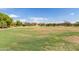 Large grassy park area offering plenty of open space at 33025 N Mildred Ln, San Tan Valley, AZ 85144