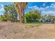 House exterior with large trees and grassy area at 1112 N Center St, Mesa, AZ 85201