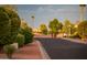 Residential street with lush landscaping at 12840 W Santa Ynez Dr, Sun City West, AZ 85375