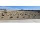 Landscaped open space with new plantings and walking paths at 2622 E Homesteader Rd, San Tan Valley, AZ 85140