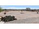 Desert landscape with gravel and cacti in the backyard at 23208 W Gloria Ln, Wittmann, AZ 85361