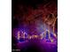 Festive neighborhood street at night with colorful Christmas lights and decorations at 2520 E Flower St, Phoenix, AZ 85016