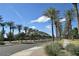 Palm tree-lined street with a sidewalk and grassy areas at 43303 W Courtney Dr, Maricopa, AZ 85138