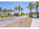 Community entrance with palm trees and stonework at 3816 N 298Th Ln, Buckeye, AZ 85396