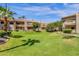 Landscaped lawn area with manicured grass and palm trees at 930 N Mesa Dr # 2037, Mesa, AZ 85201