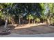 Landscaped backyard with mature trees and a fire pit at 15151 N 100Th Way, Scottsdale, AZ 85260