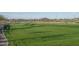 Wide open green space with walking path at 24066 N 162Nd Ln, Surprise, AZ 85387