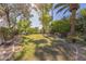 Expansive grassy backyard with mature trees and landscaping at 5302 E Mercer Ln, Scottsdale, AZ 85254