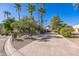 Landscaped front yard with palm trees and a long driveway leading to the house at 5302 E Mercer Ln, Scottsdale, AZ 85254