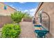 Side yard with gravel, small trees, and a gardening area at 10718 E Lumiere Ave, Mesa, AZ 85212