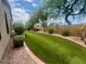 Artificial turf and gravel backyard with mature trees at 16416 S 16Th Ln, Phoenix, AZ 85045