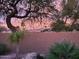 Dramatic sunset view framed by trees and landscaping at 16416 S 16Th Ln, Phoenix, AZ 85045