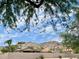 View of backyard with mountain backdrop and lush landscaping at 16416 S 16Th Ln, Phoenix, AZ 85045