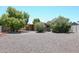 Landscaped backyard with mature trees and gravel at 2316 E Betty Elyse Ln, Phoenix, AZ 85022